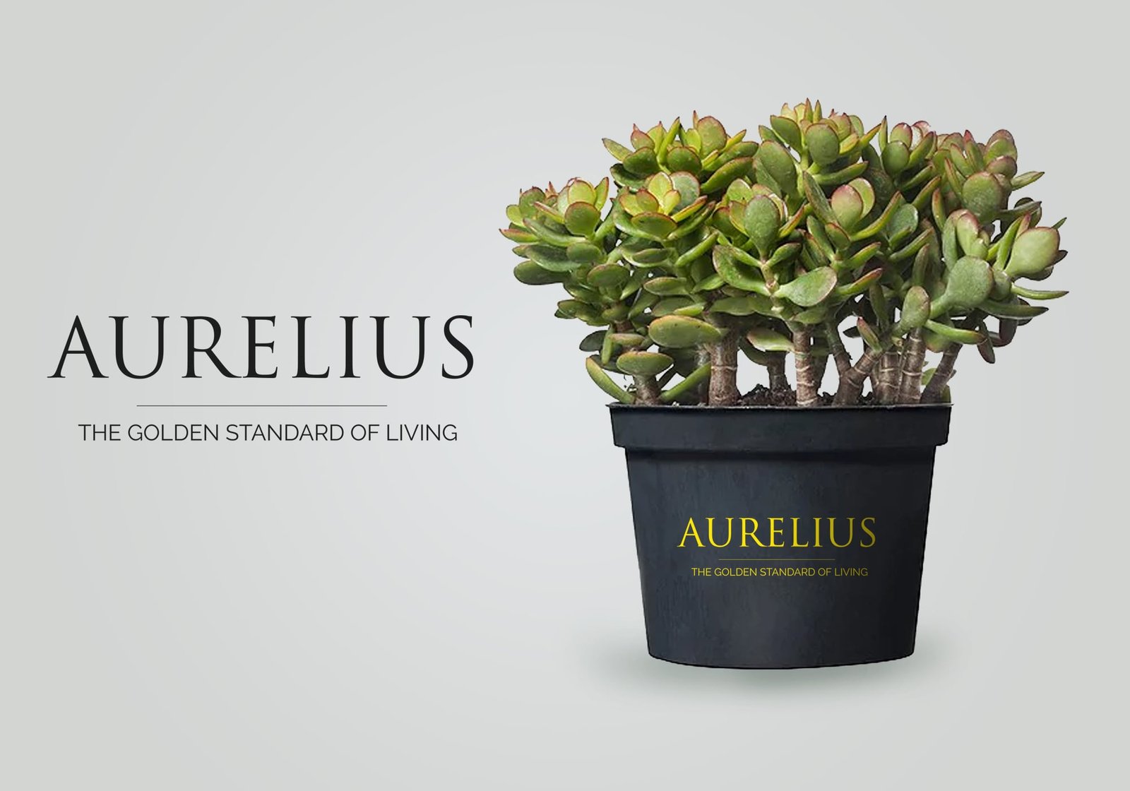 Creative Advertising and Marketing Agency aurelius-real-estate-branding-design-literature-1